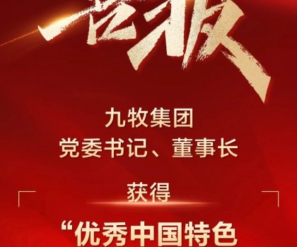 全國表彰！九牧集團黨委書記、董事長獲得“優(yōu)秀中國特色社會主義事業(yè)建設者”稱號