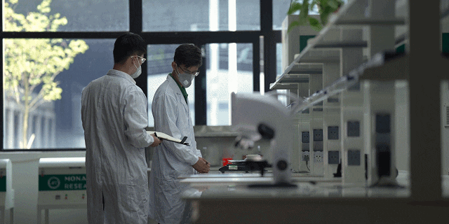 1694137860439782.gif 3.gif