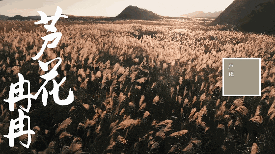 1721377721607401.gif 8.gif